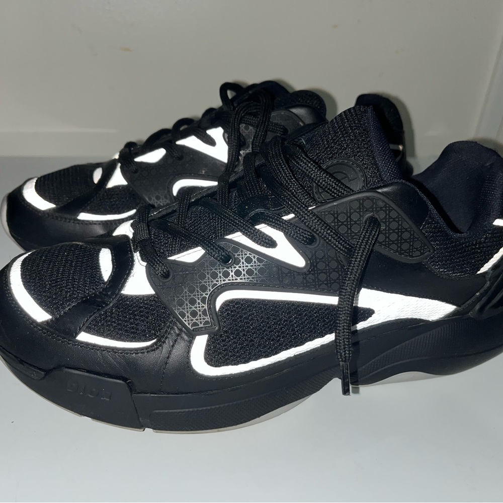 Christian Dior Snakers B24